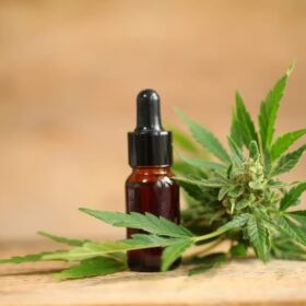 RSO Tincture 4200mg: What Experienced Users Should Know