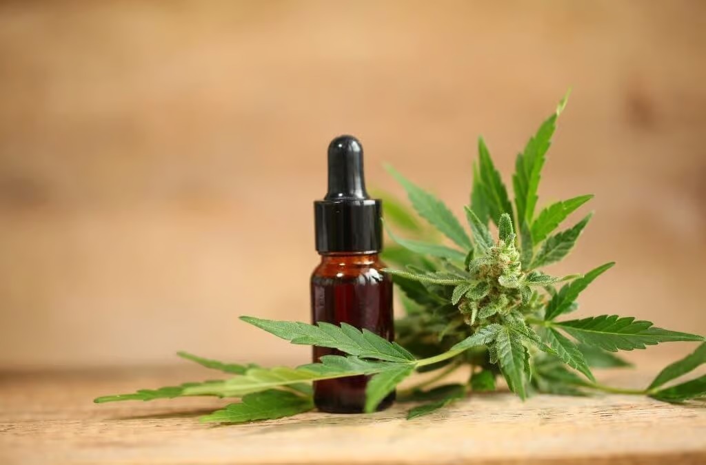RSO Tincture 4200mg: What Experienced Users Should Know